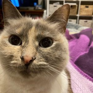 Meet your Posher, Justine